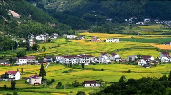 1712996311699771.png 11.png